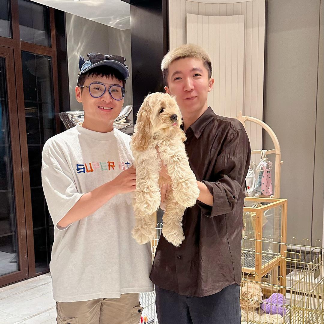 云朵家的美卡宝宝们