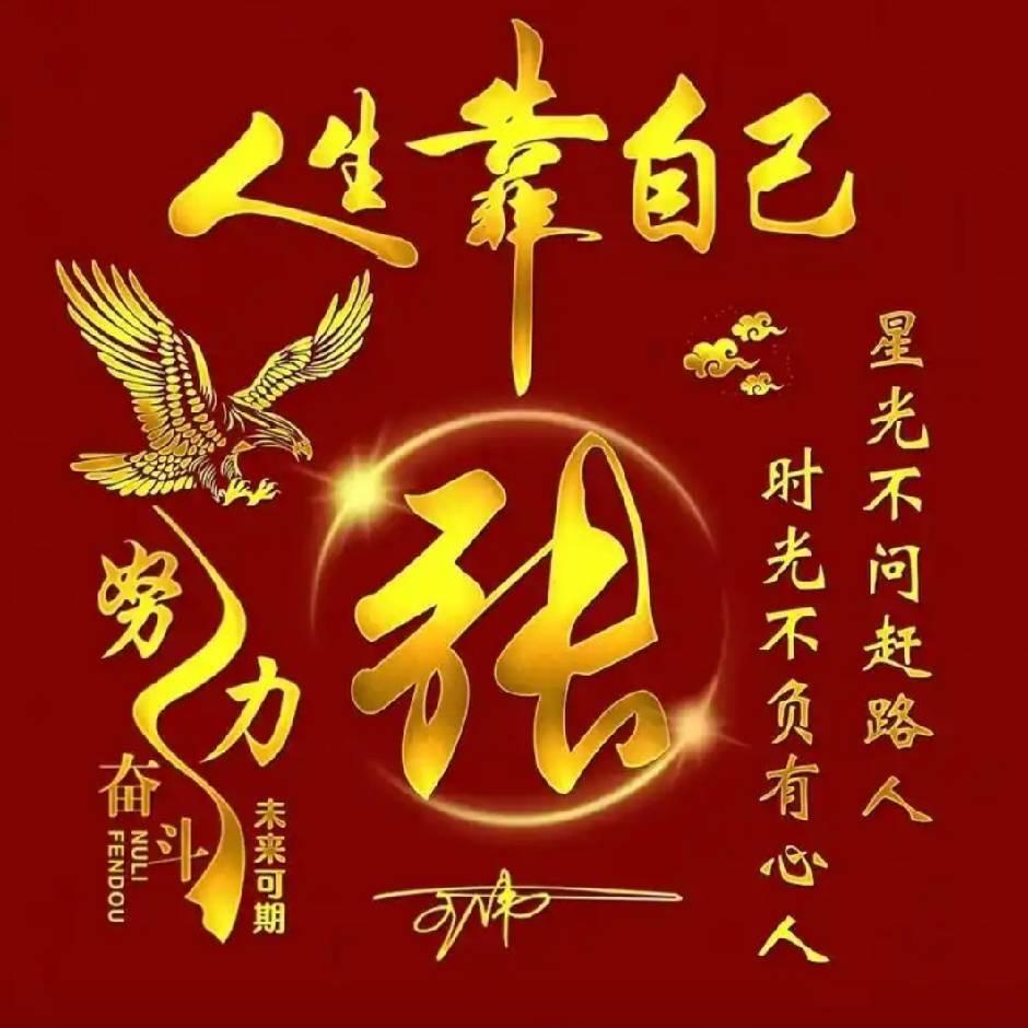 浪子。林少。
