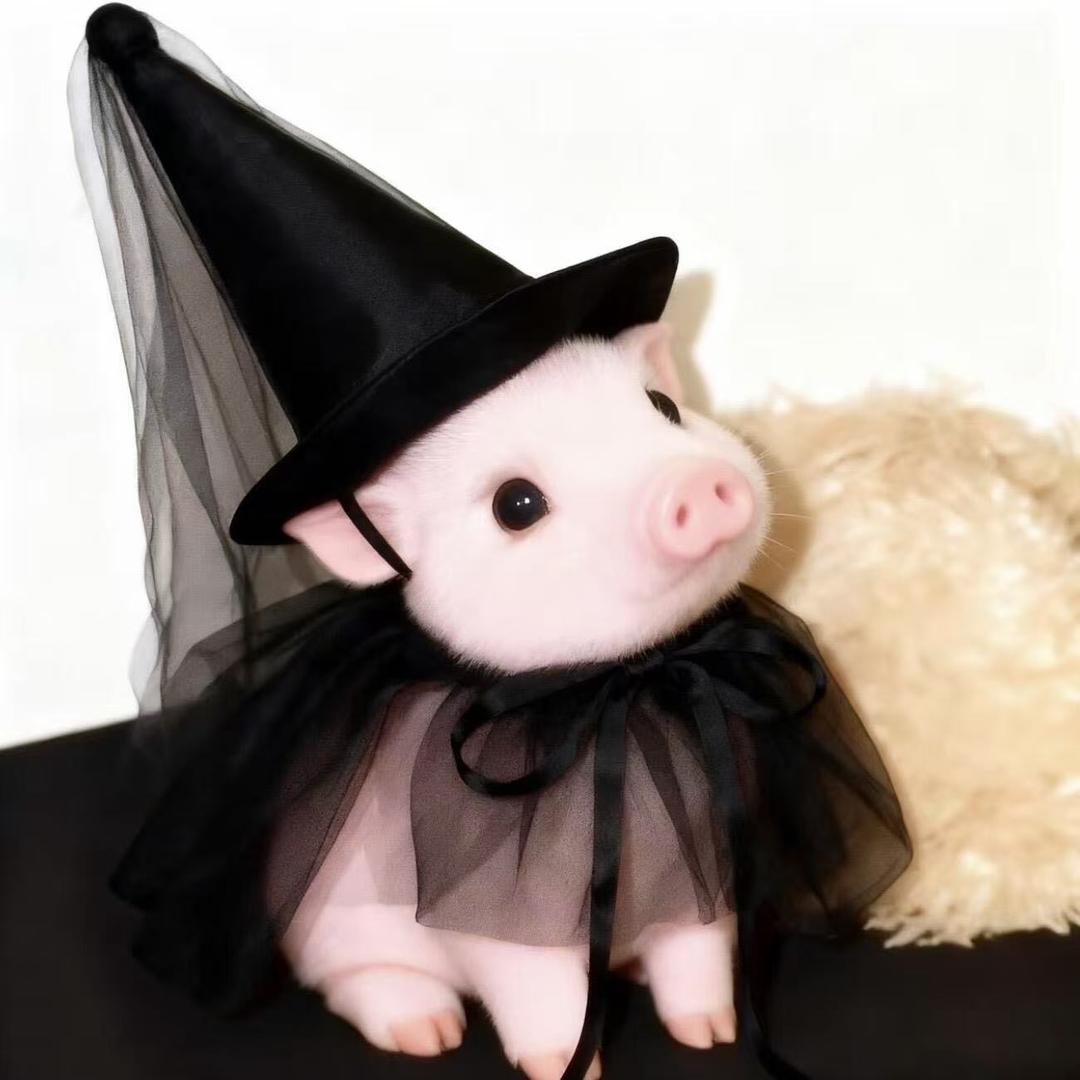 我就骂你怎么了