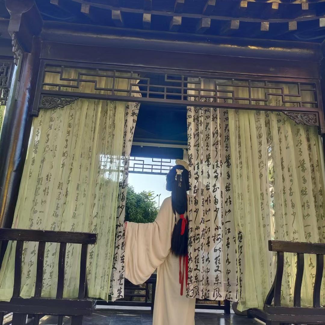 追光的圆圆