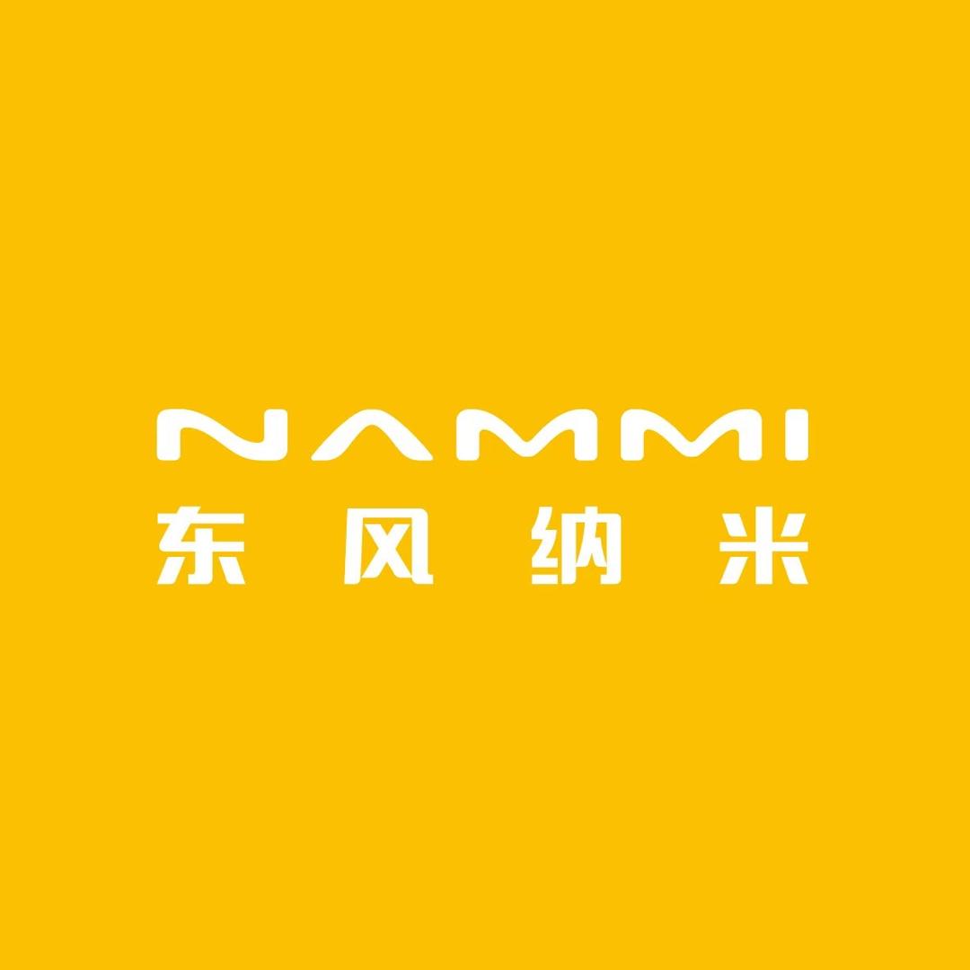 东风纳米01 临沂诸葛亮