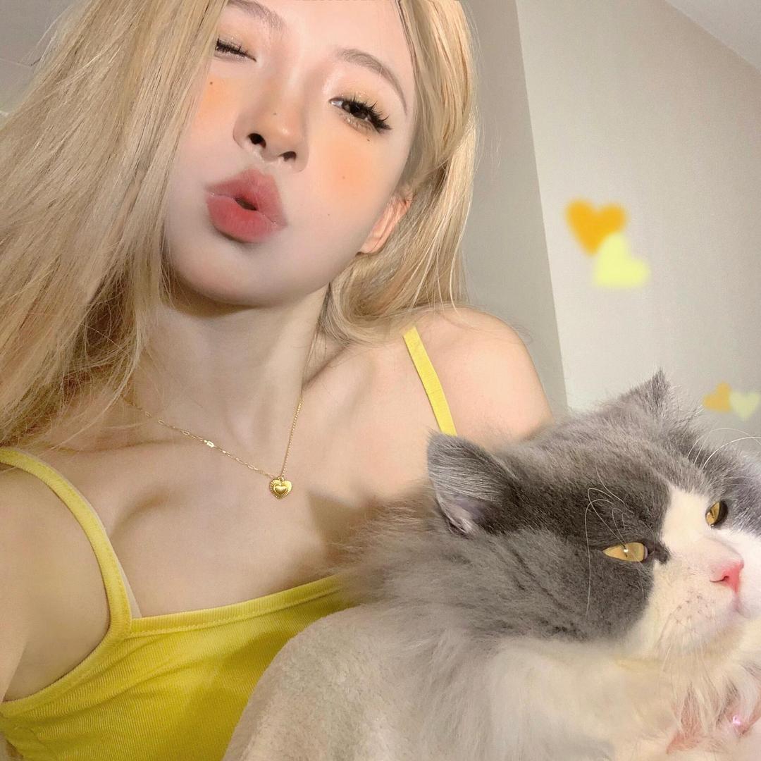小只暴富猫