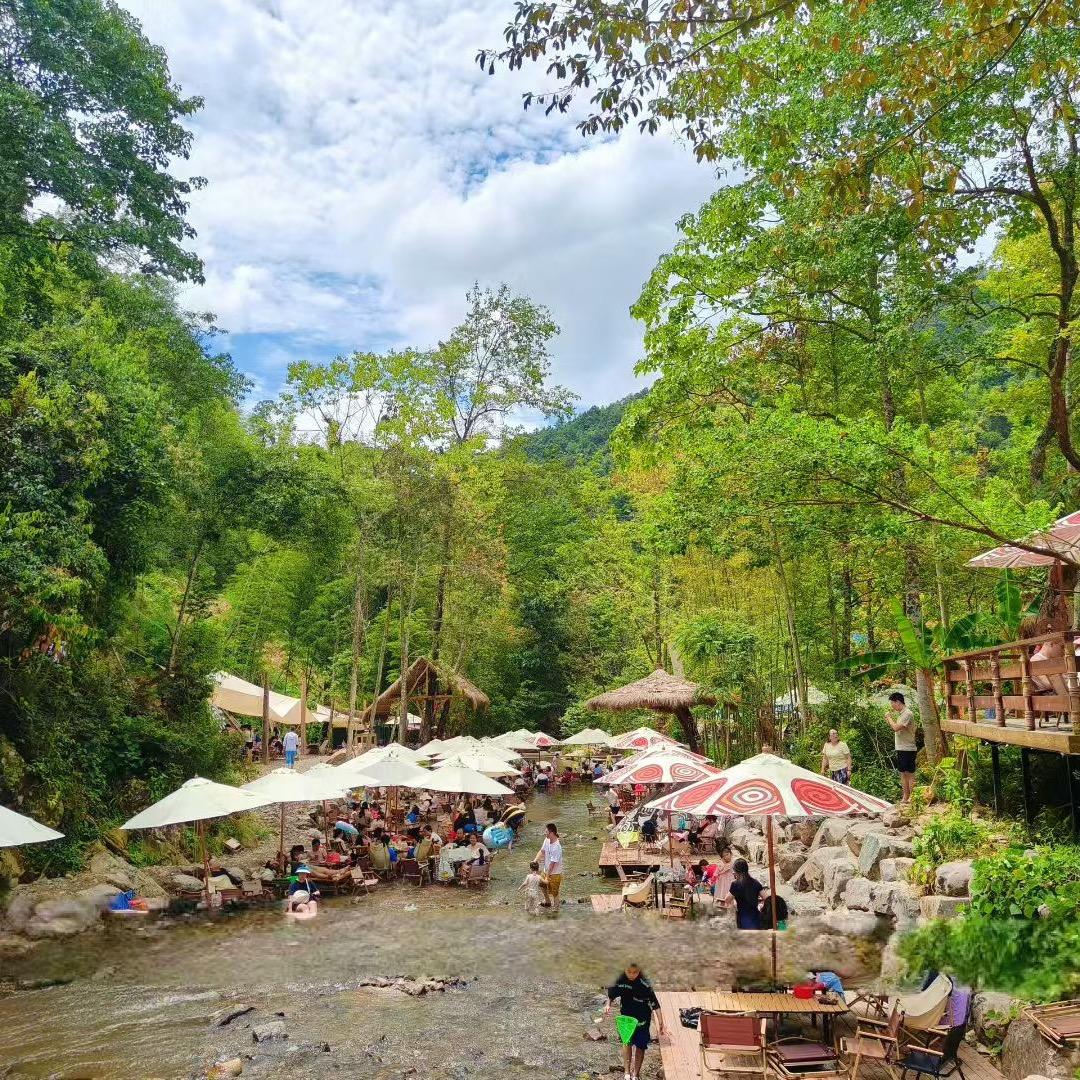 🍃风知道答案