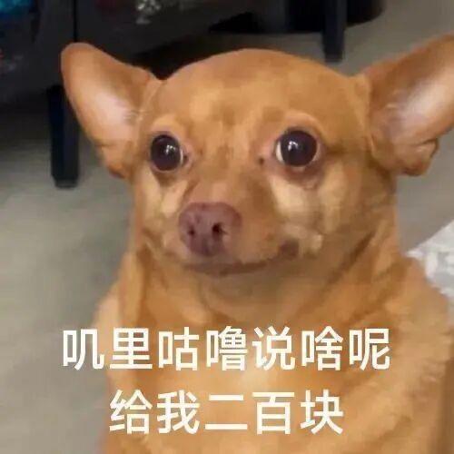 轻抚