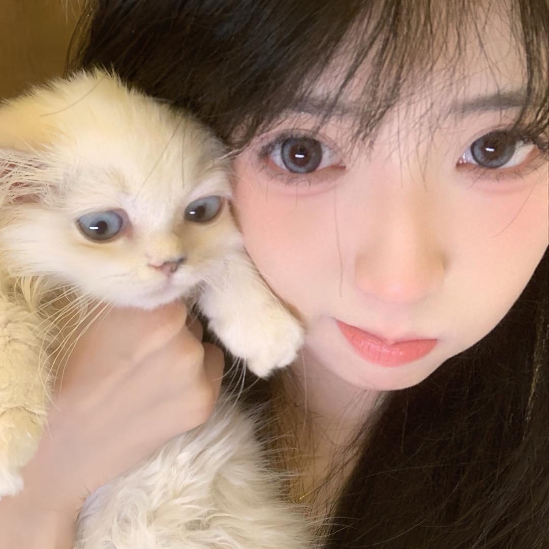 兔子不吃窝边草