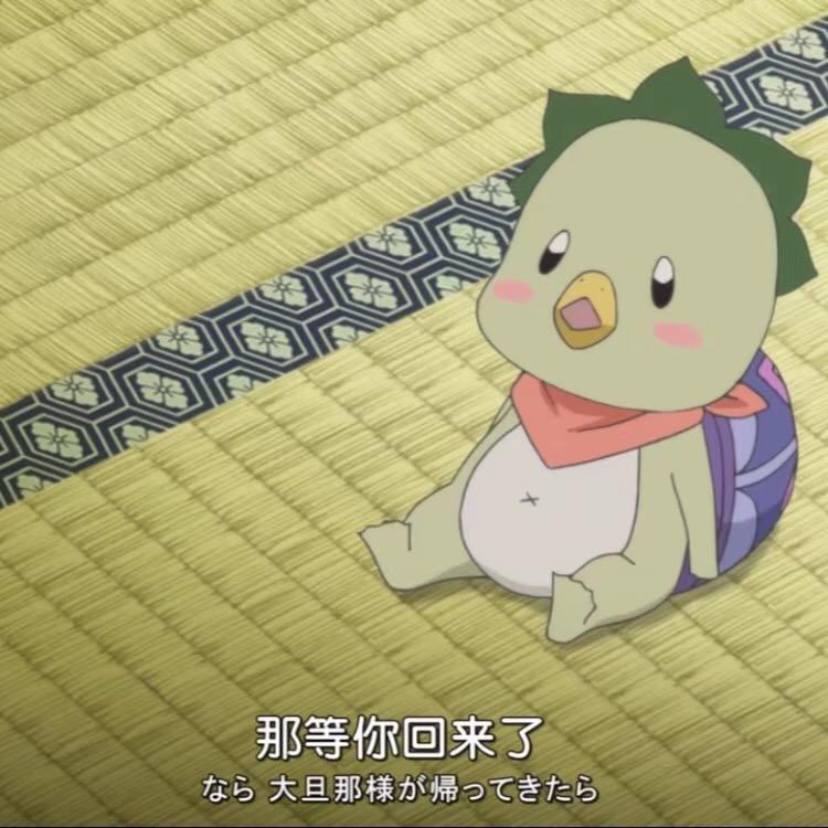 梦梦爱种草