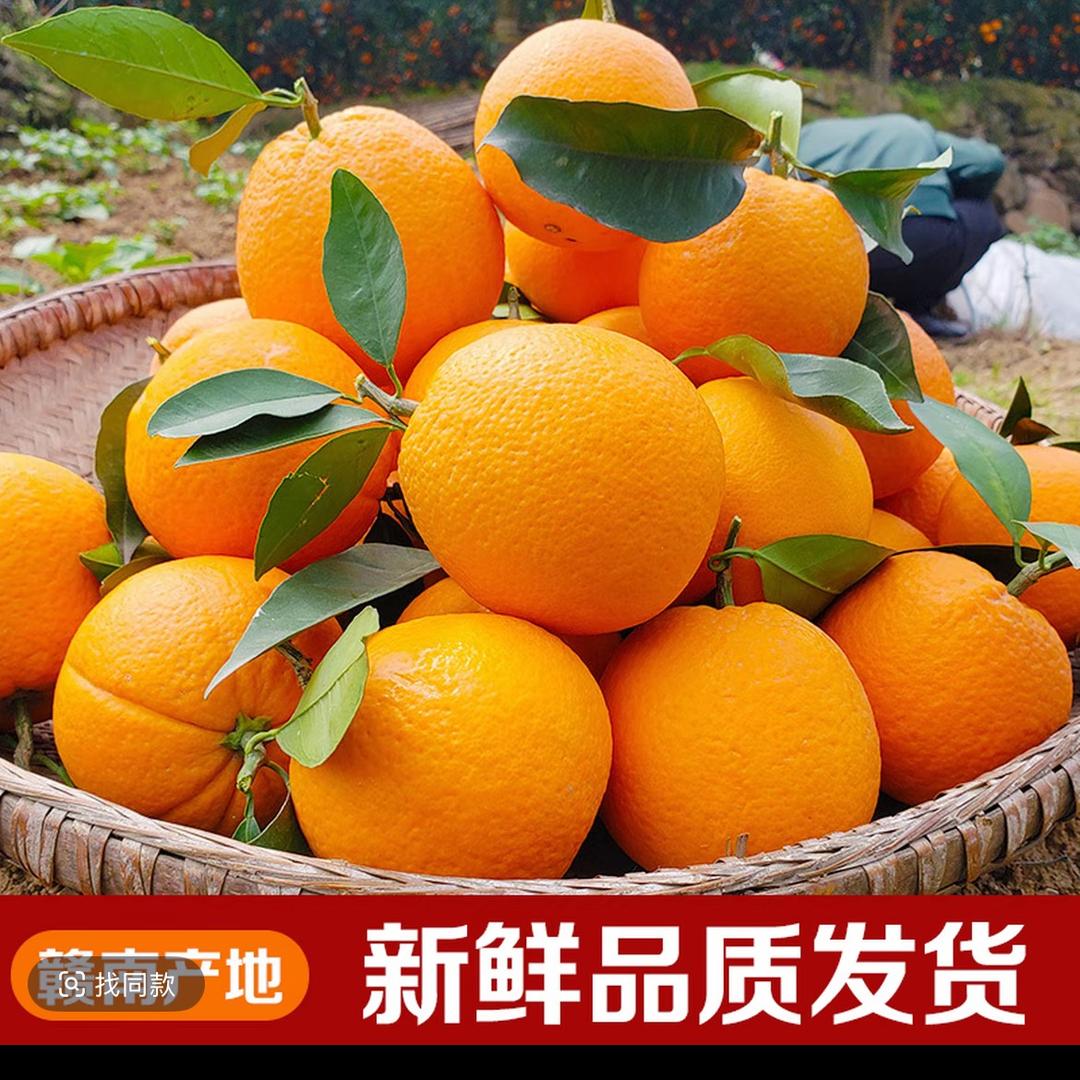 正宗赣南脐橙