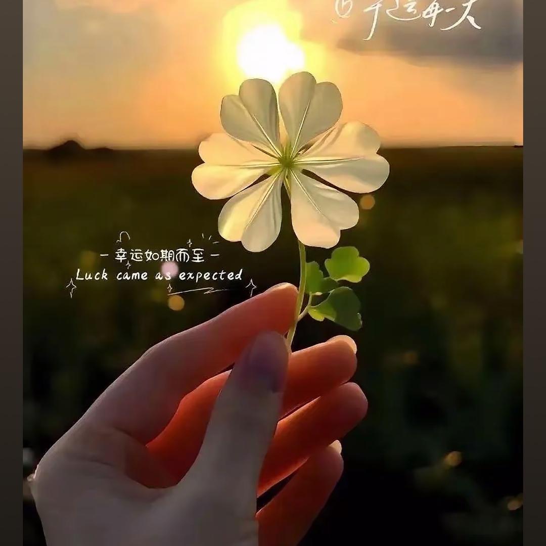 小榴莲💋💋💄💄