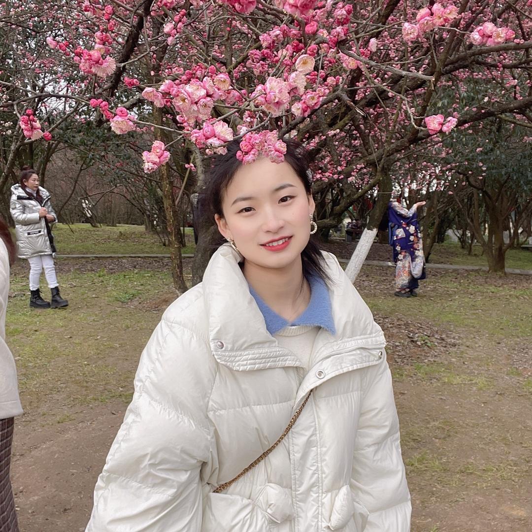 凹凸曼打小怪兽