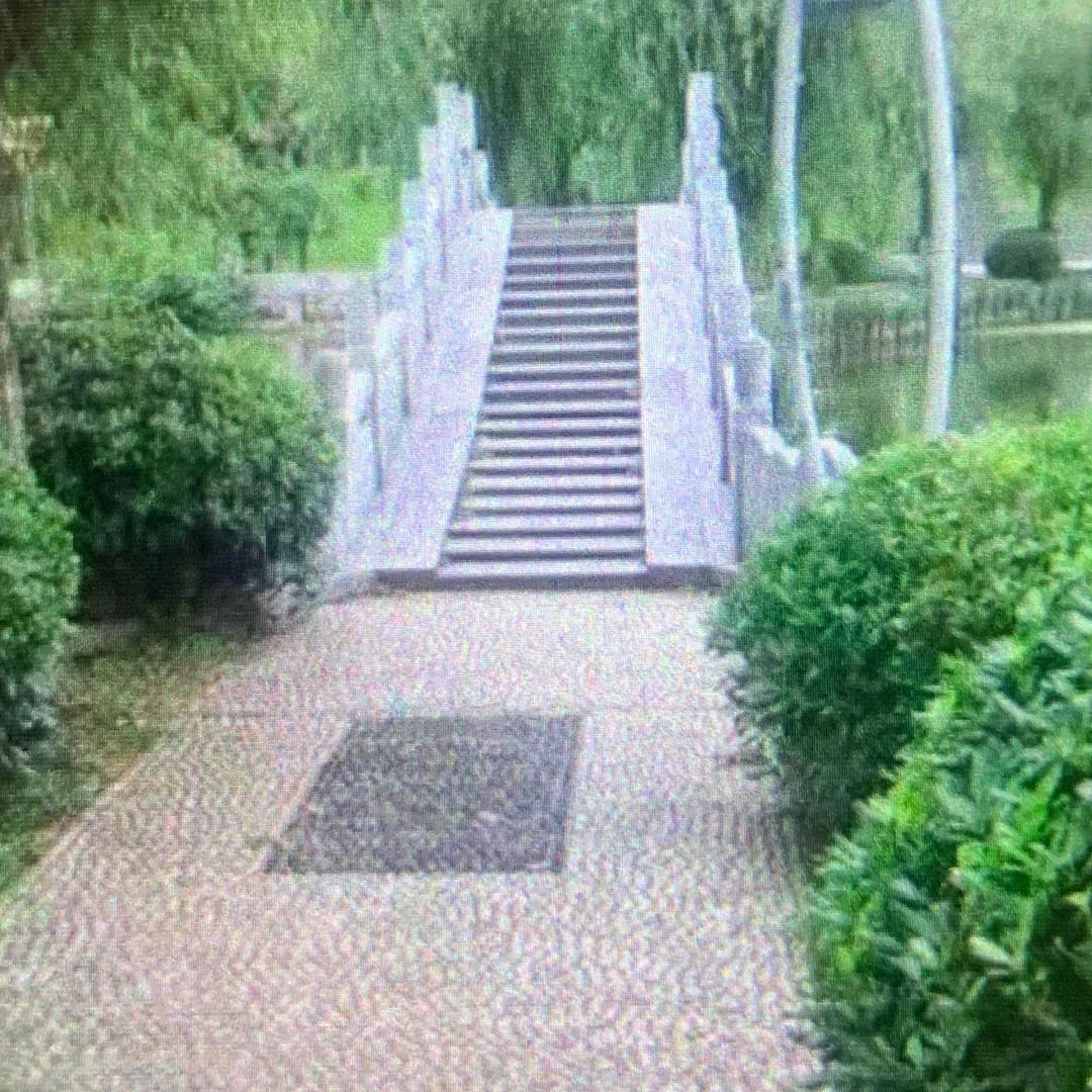 🍒8⃣️淡定8⃣️🍒