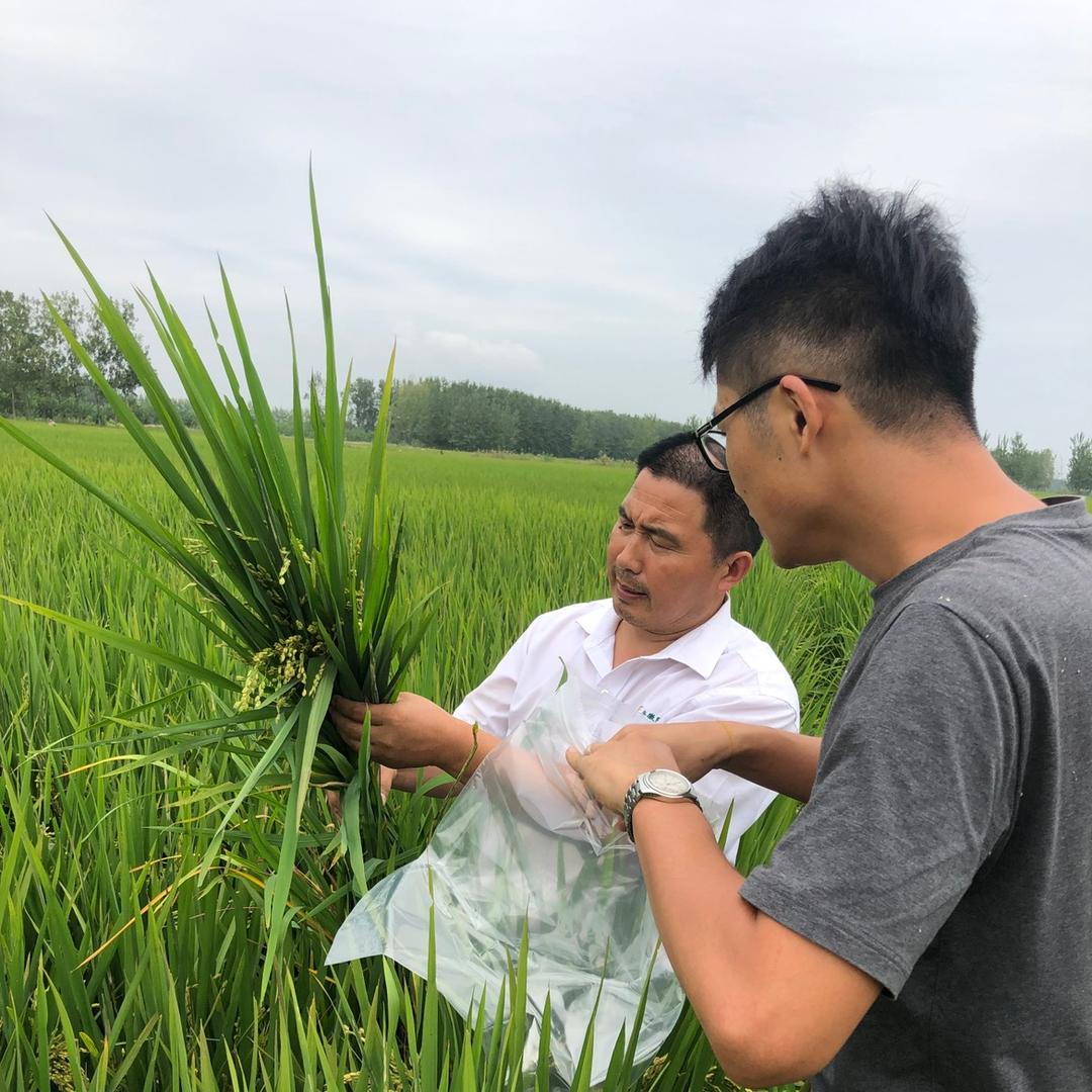 安民农资三十年老店（无人机飞防撒肥）