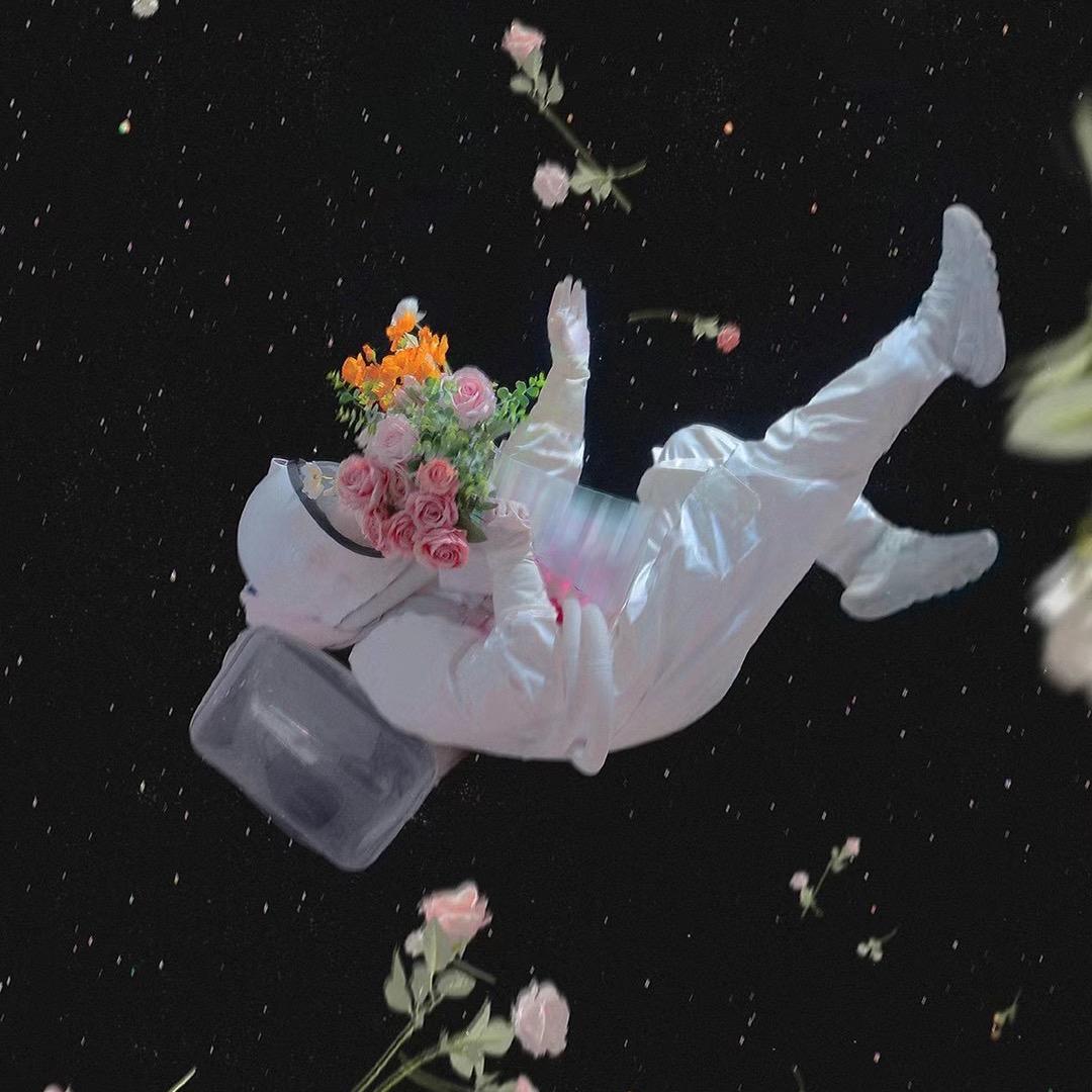 夜猫子