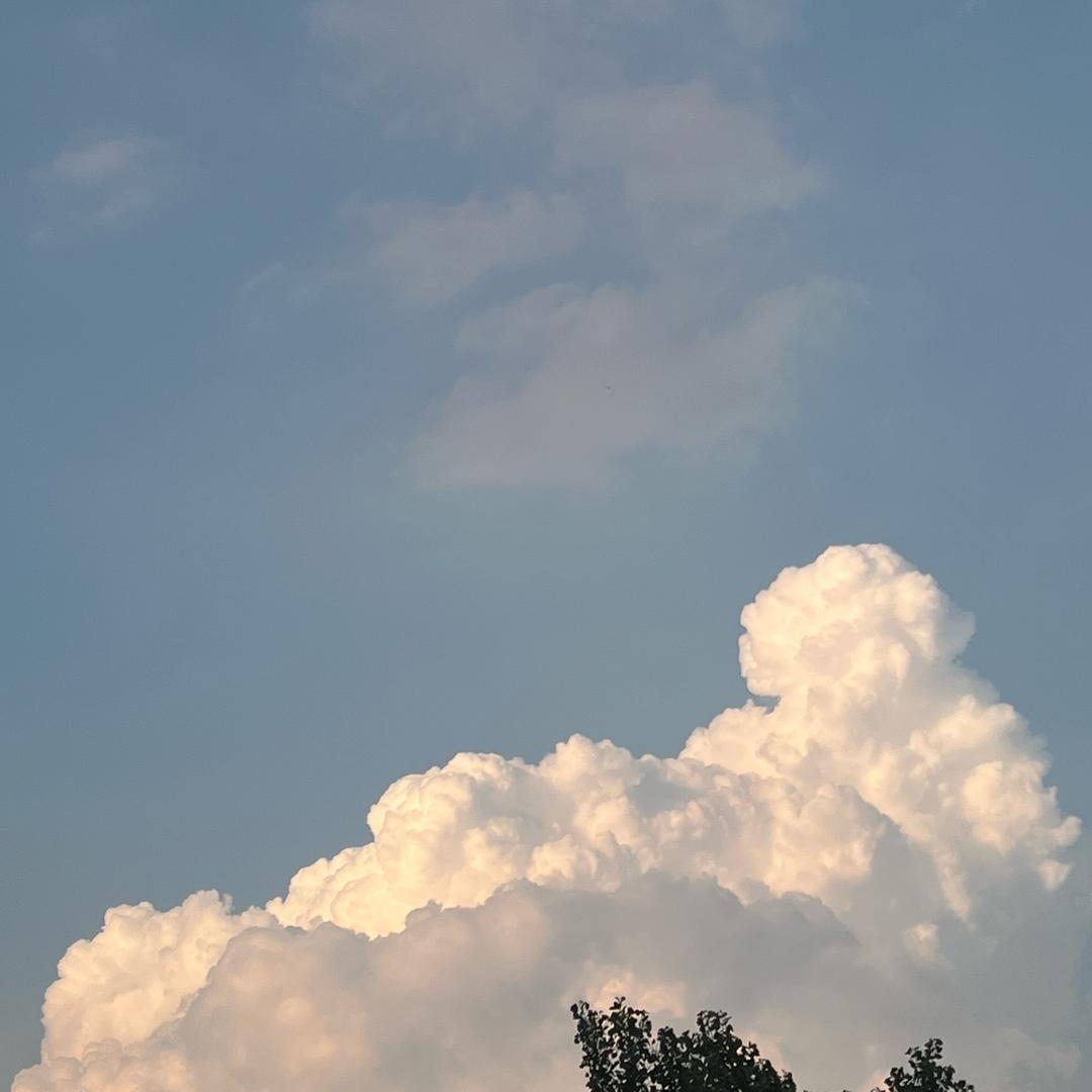 爱唱歌的（小强）