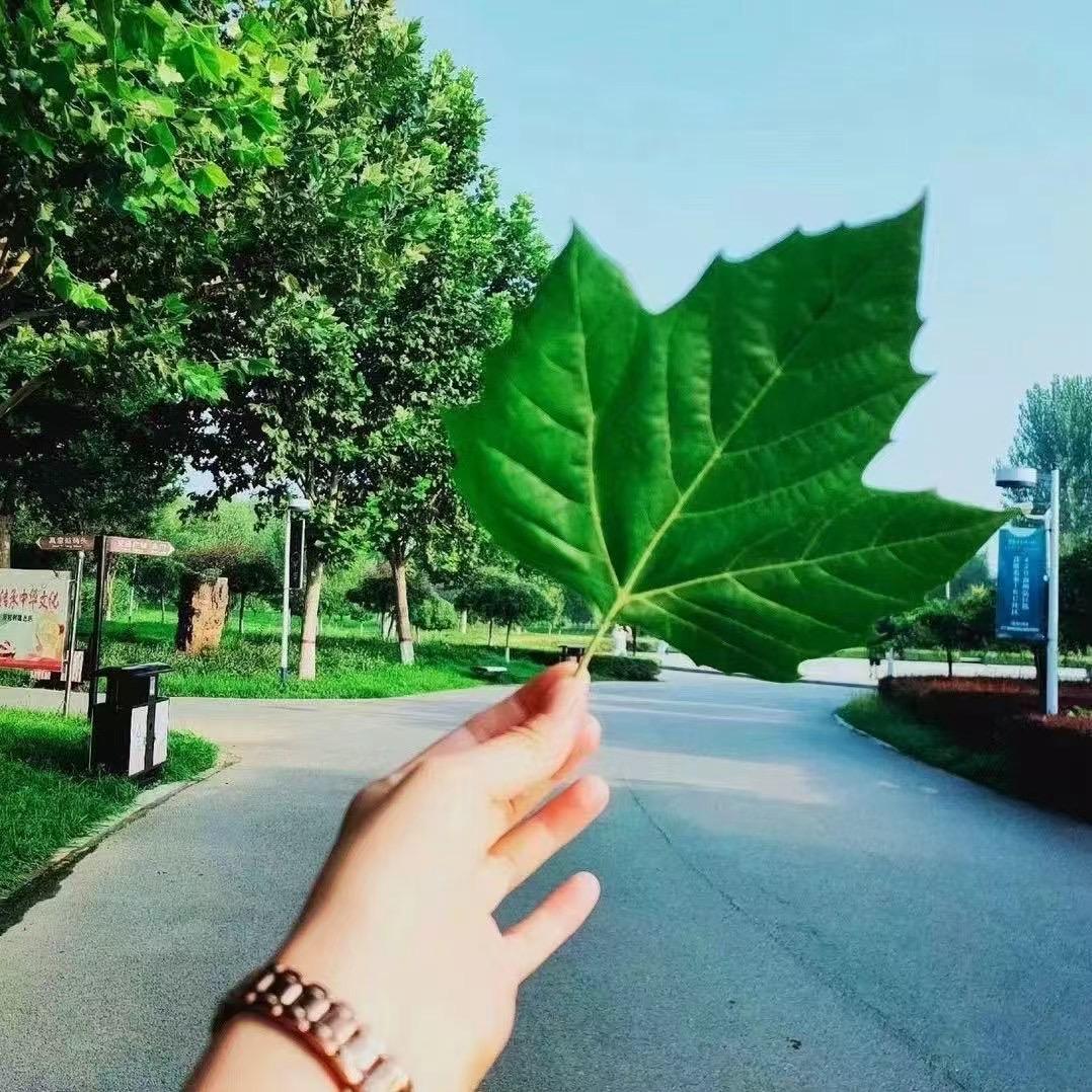 瑾🌞