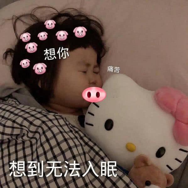1逻辑猫爱学习1