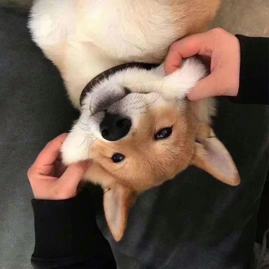 消消乐