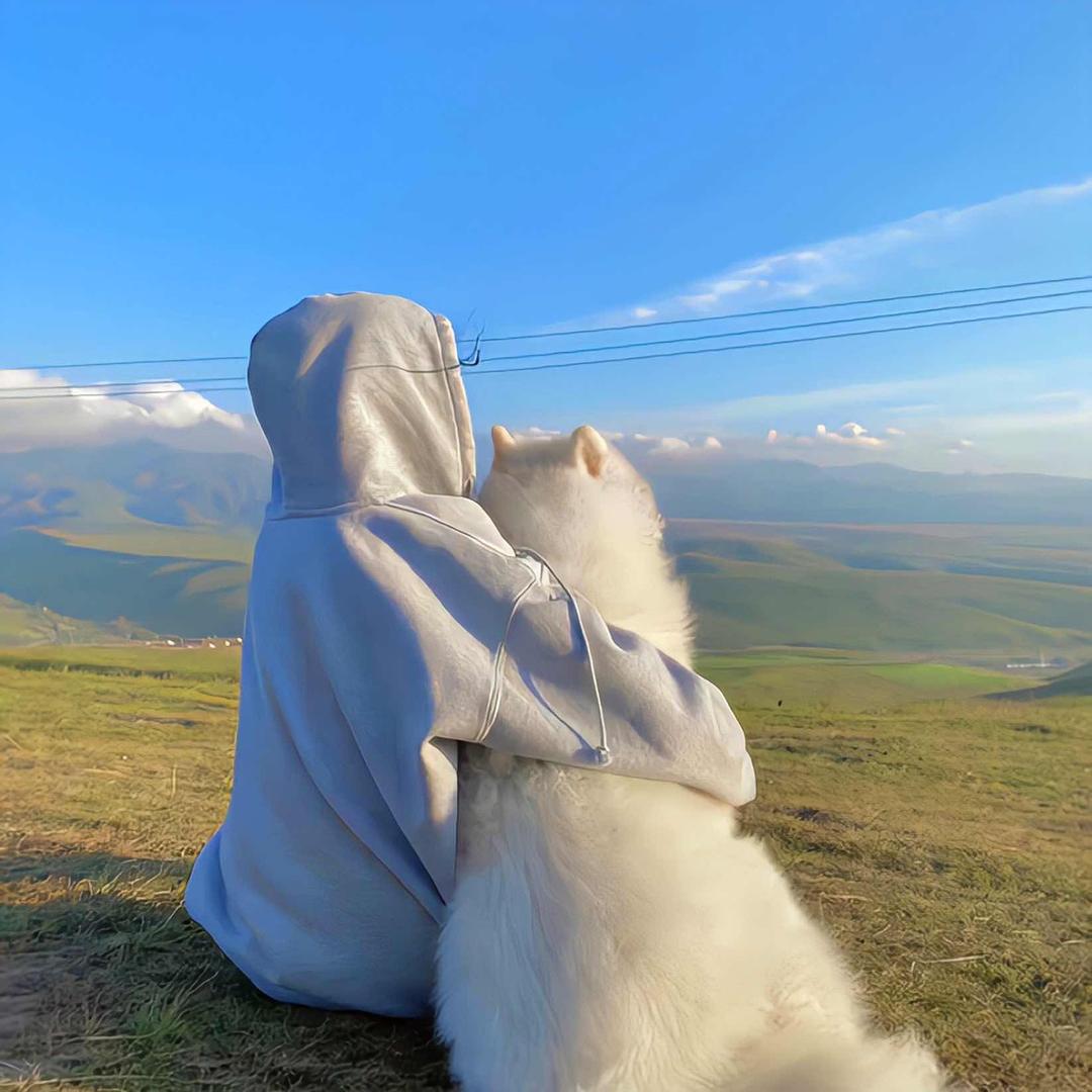 笑笑𓆡 𓆜 𓆝 𓆞