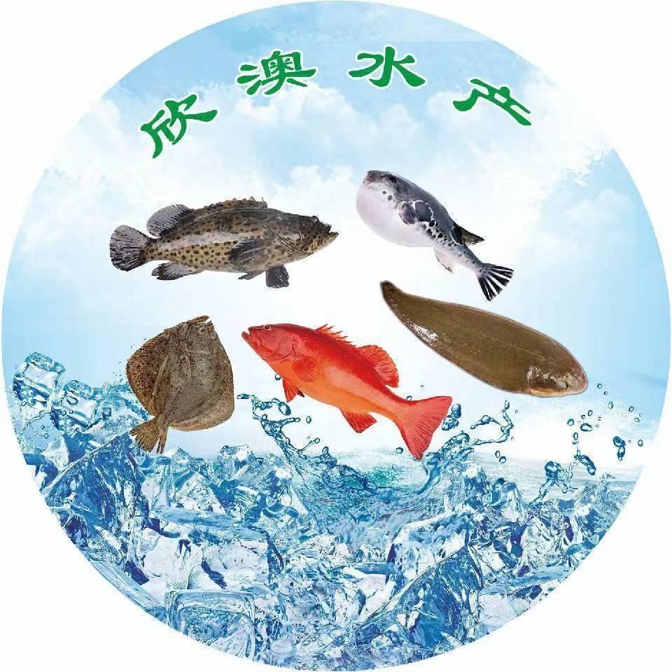 唐山市欣澳水产店精品号