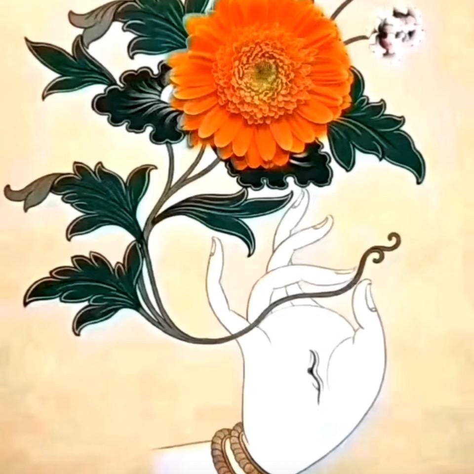 莲花
