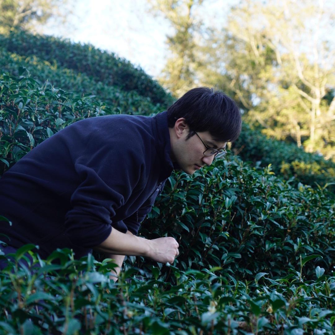 小茶原台湾茶在武汉