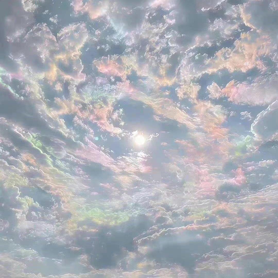纸儿