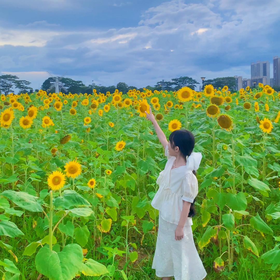 🌈姐姐妹妹🩵