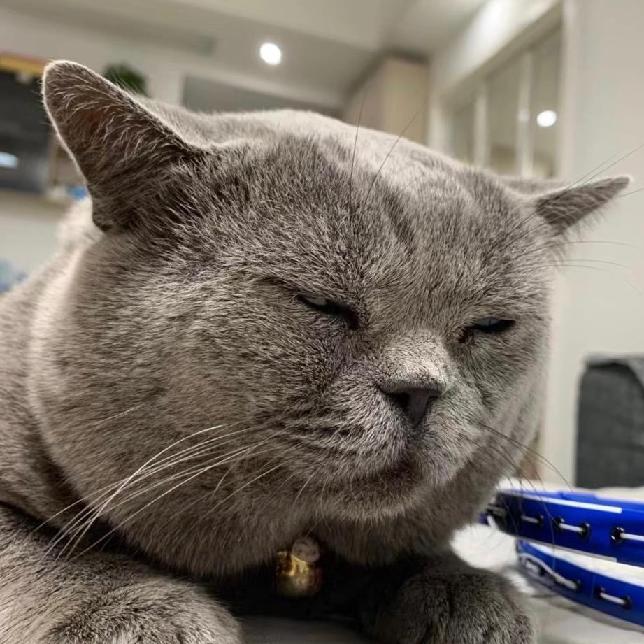 你顶住我闪人