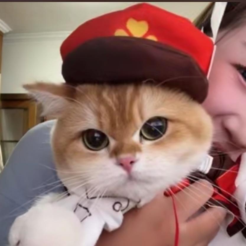 小黄不吃蛋黄
