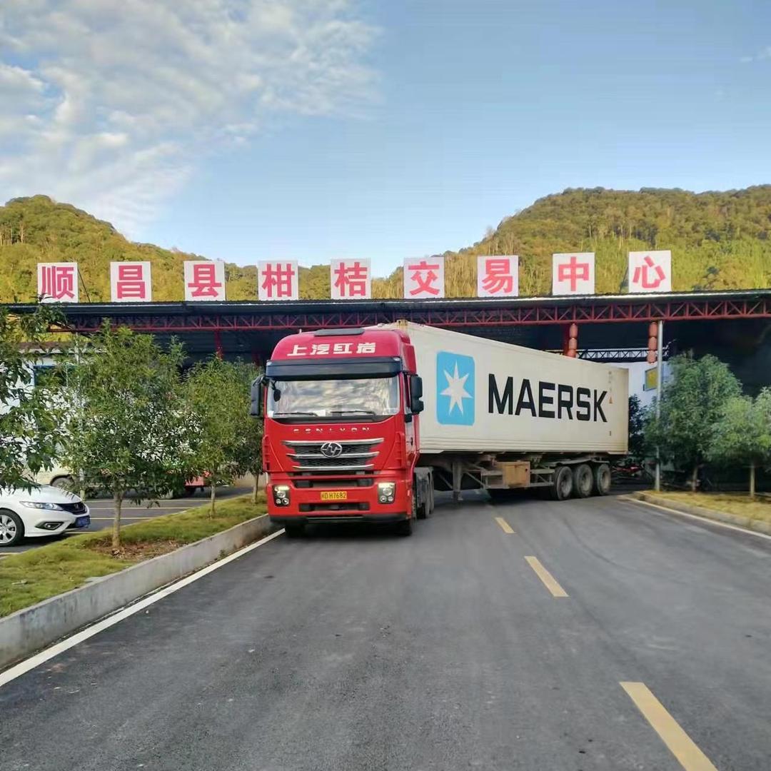 耘宇农业（柑桔🍊葡萄🍇柿子出口）