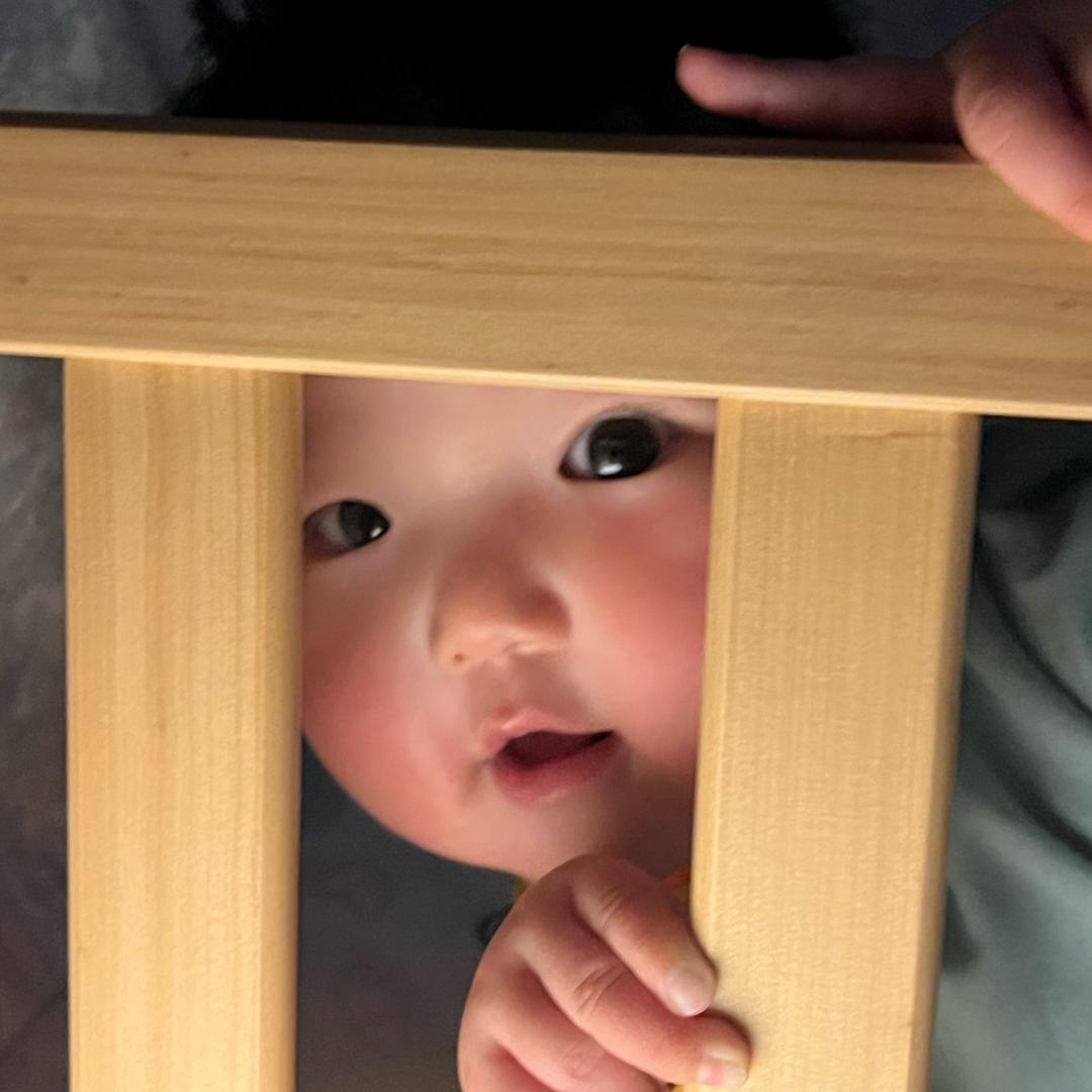 波妞日记