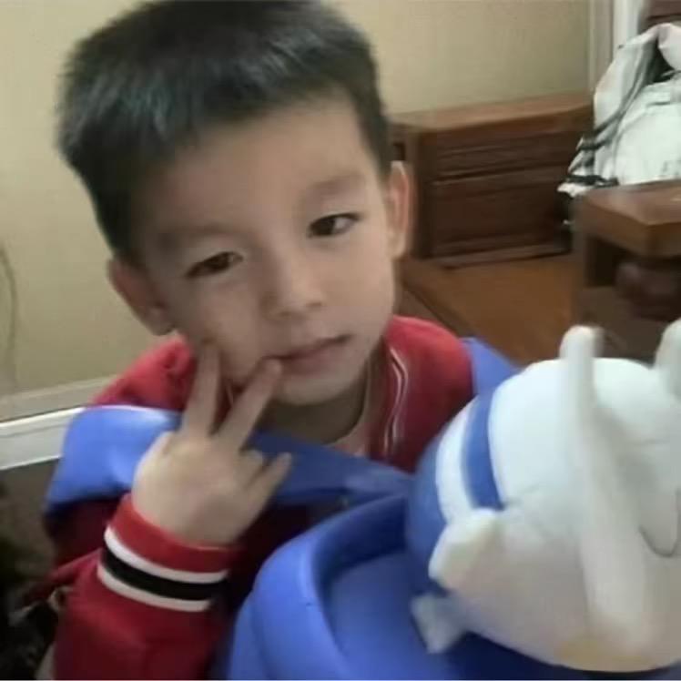 小叶的泪