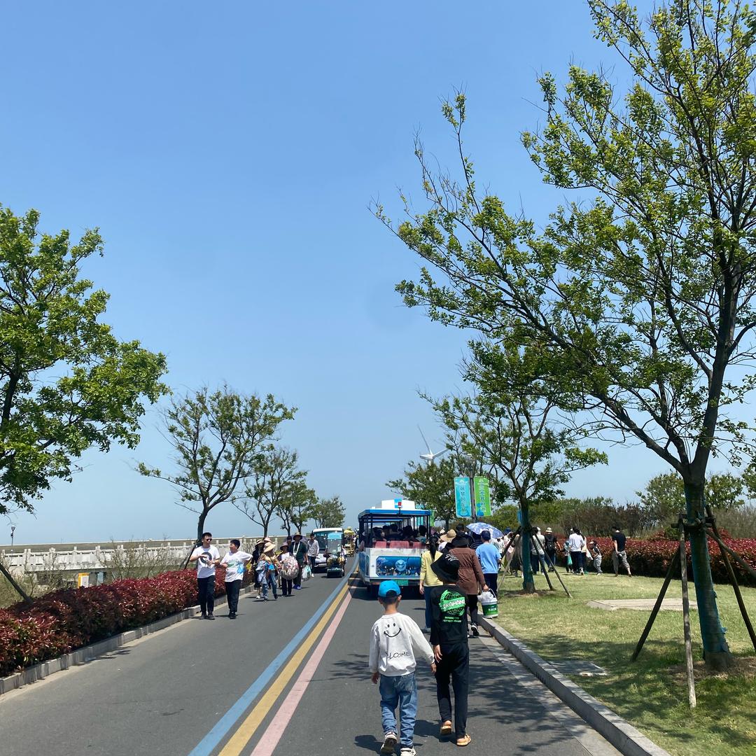 全屋家居台面贴膜-莫玲子