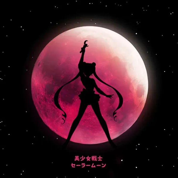 肥兔      👠👗 ✨