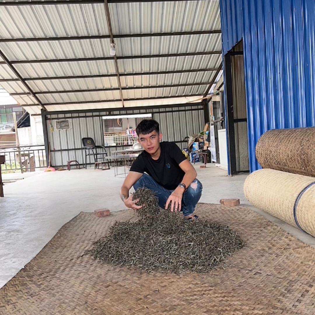 拉祜族涛弟的茶
