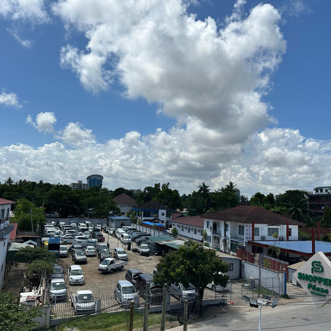 非洲🌍张总哈鲁乃