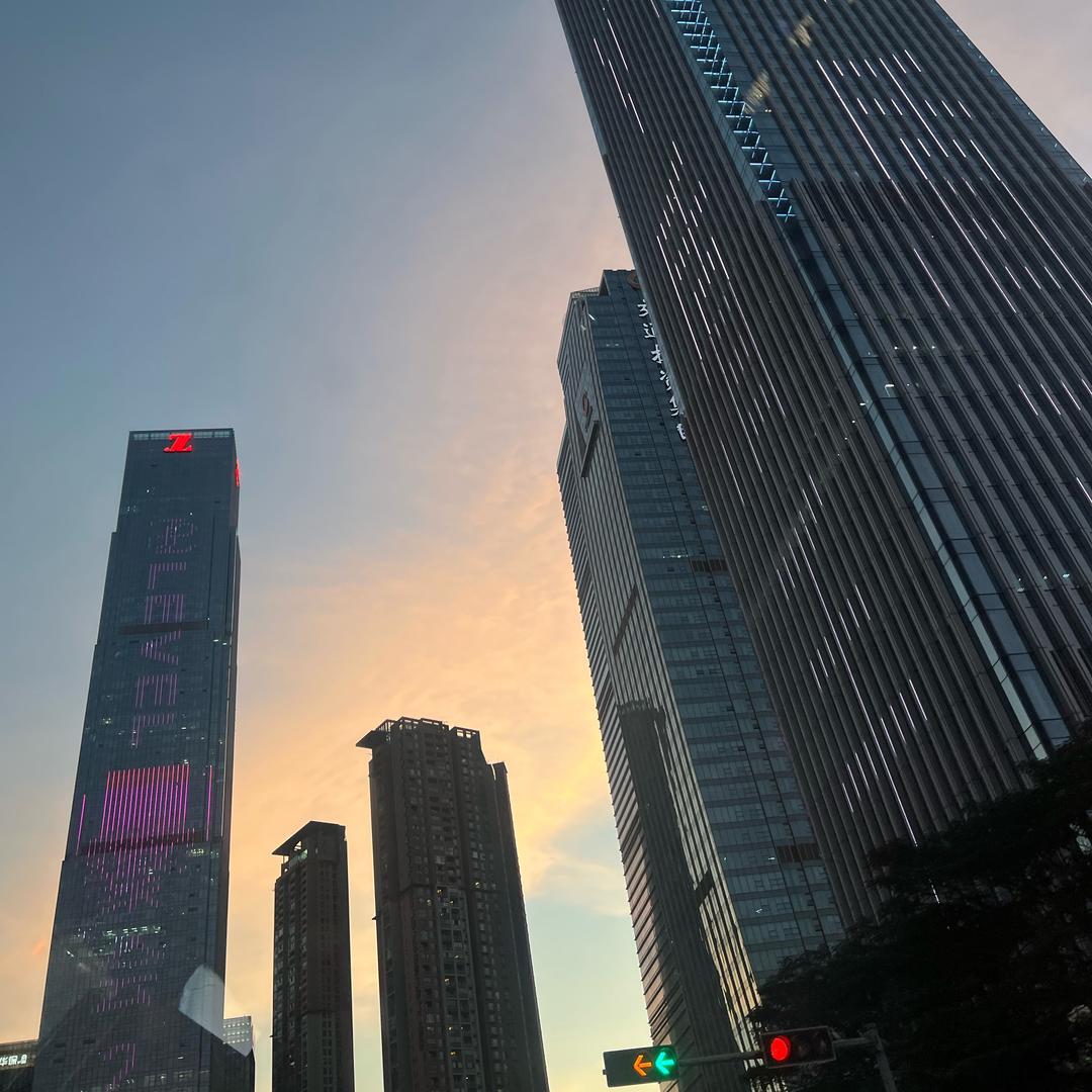 小小大林