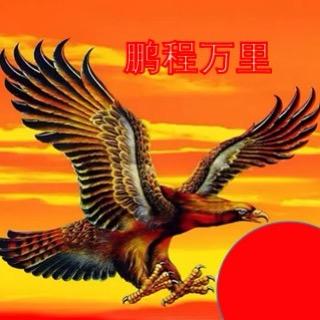 鹏程万里🔥