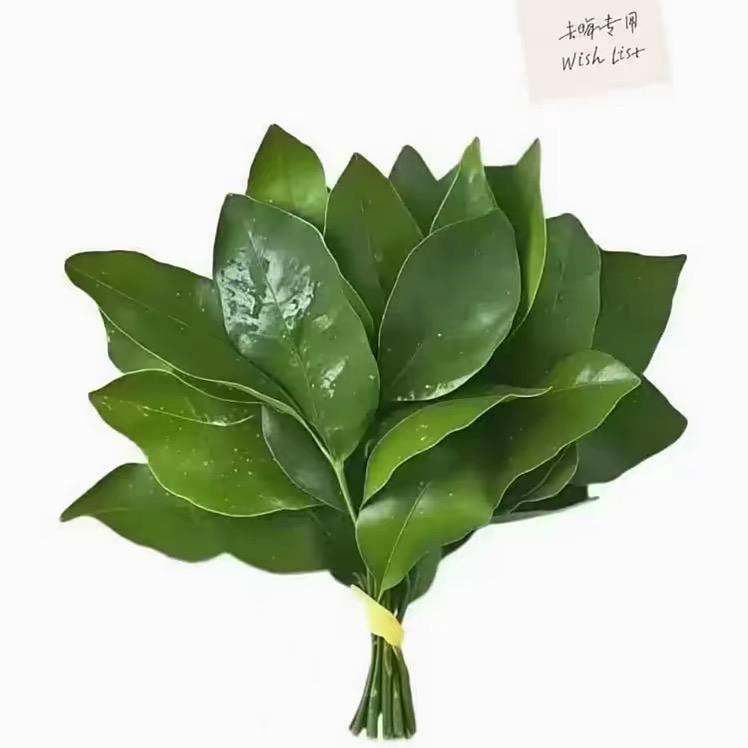 Xingin