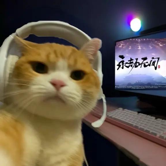刘.