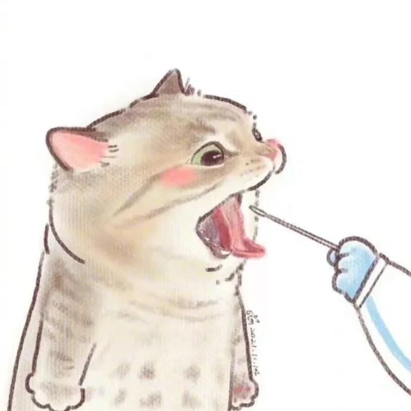 乔悄悄