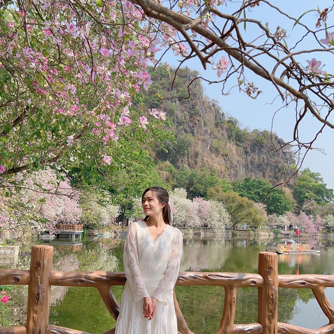 楚儿🐰