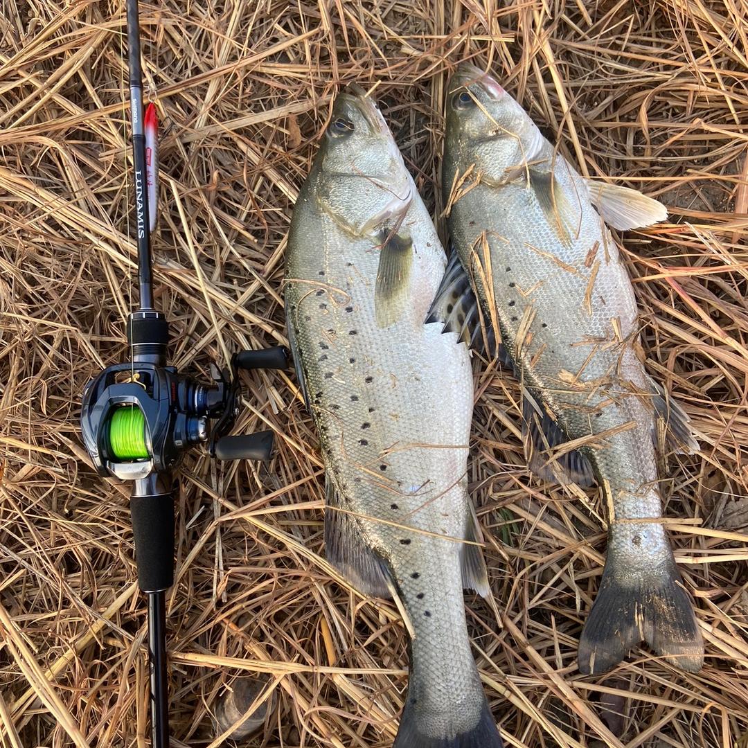 路亚玩家-兔斯基