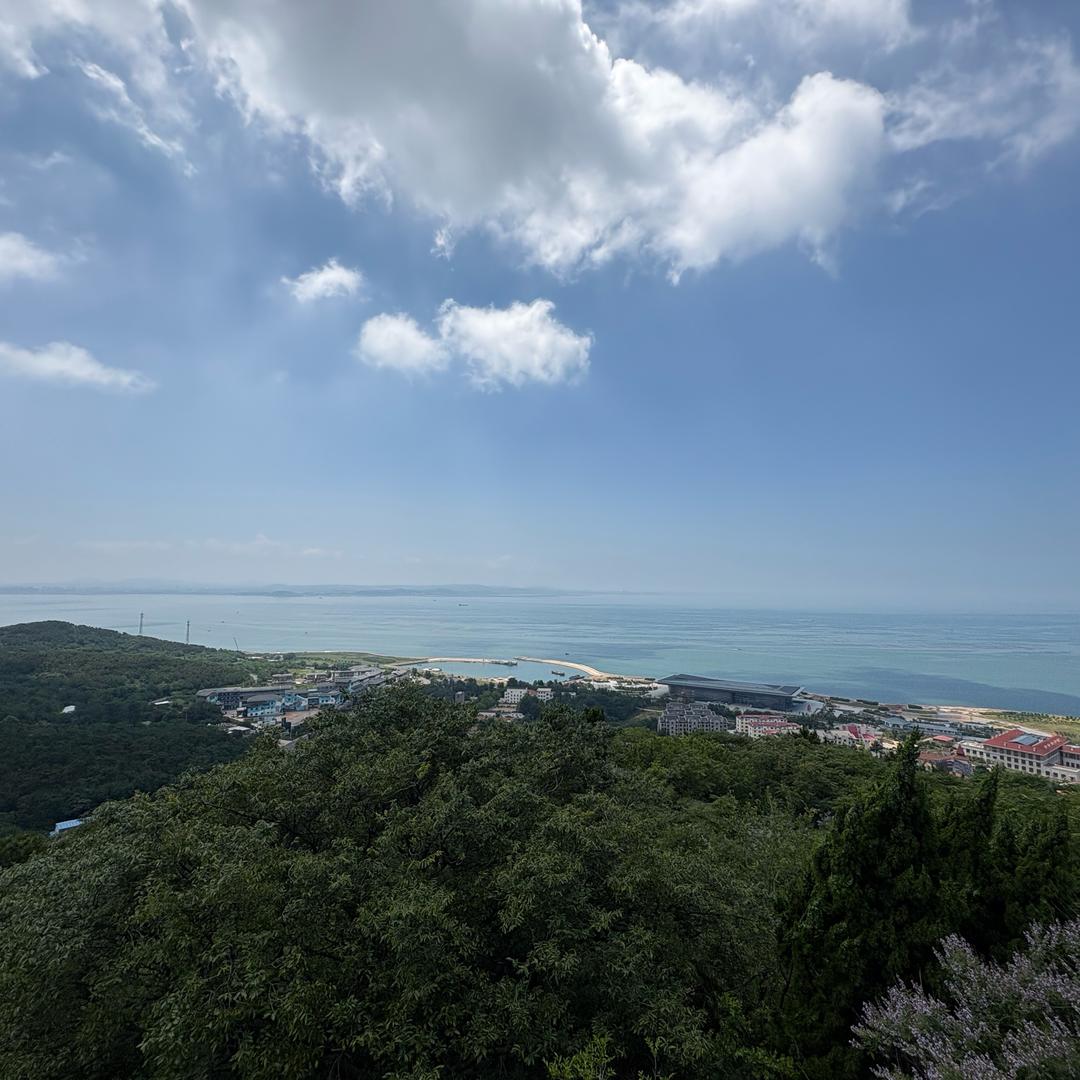 王梓畅