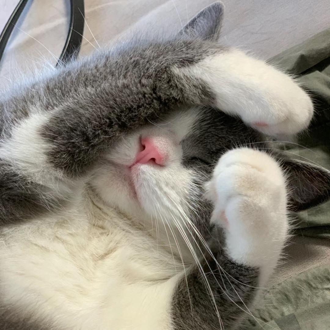 猴吖猴~