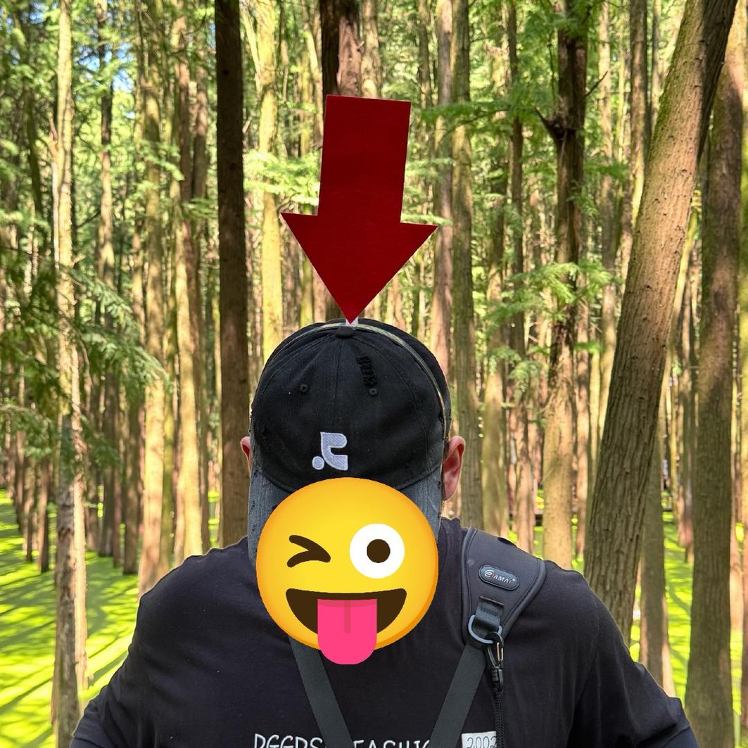 重生之我在临安拍照