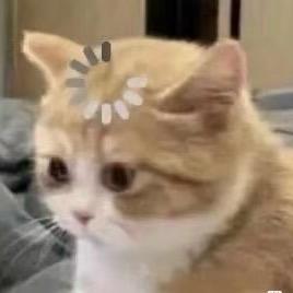 妙喜妙喜💤