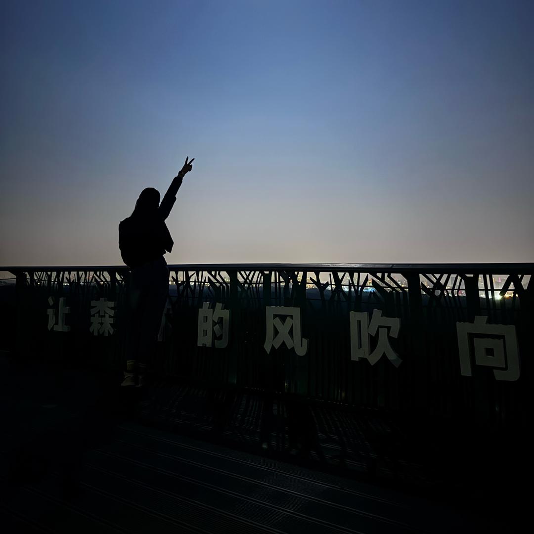 赫拉气球派对