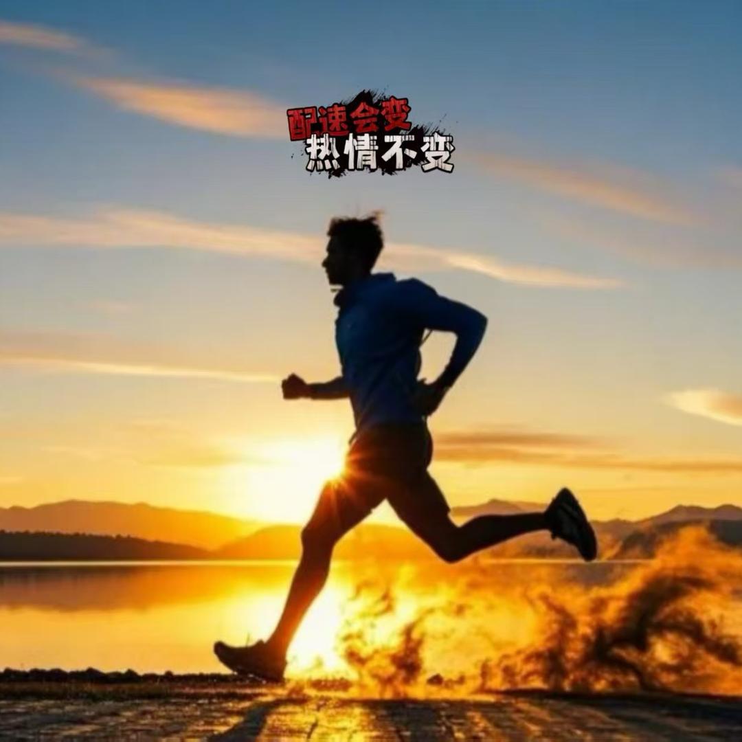自由的风