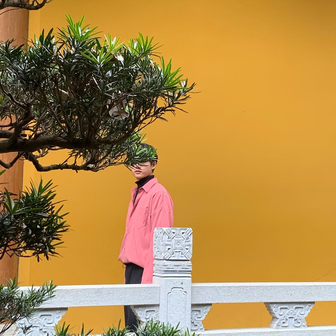 苏木（热爱药香手串版）