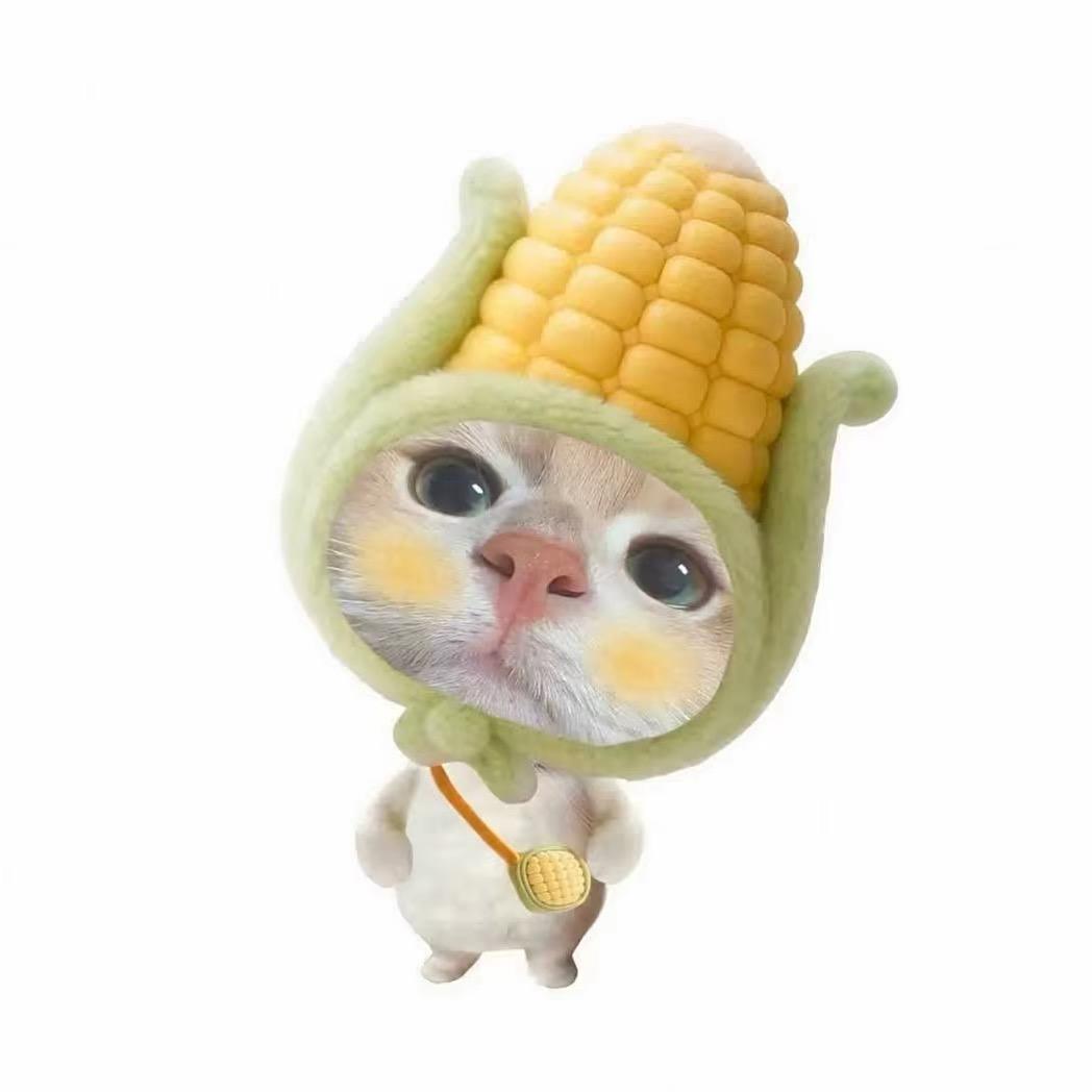 爱吃荔枝吖ˋˏᰔᩚˎ